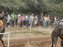 13-jähriger “Jockey“ stirbt bei Pferderennen in Guairá
