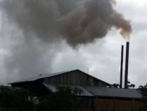 Ärzte empfehlen Umzug wegen schädlichen Rauch aus Sägewerken