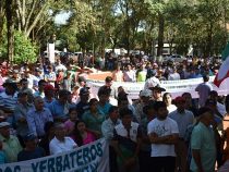 Yerba-Mate Landwirte wollen Fernstraßen sperren