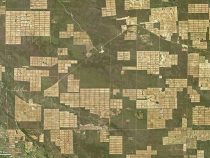Chaco: NASA weist auf Abholzung hin