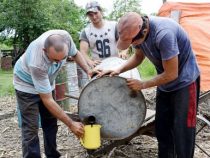 Großes Potenzial für Honigproduzenten im Chaco