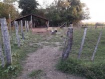 Mord und Totschlag