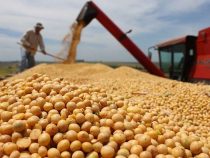 Sojalandwirte mit Sorgenfalten