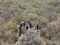 Paraguay: Die Suche nach der Nadel im Heuhaufen