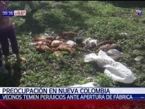 Rätselhaftes Tiersterben aufgrund von mutmaßlicher Kontamination
