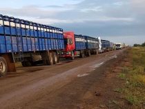 Transchaco gesperrt: 200 Lastkraftwagen und Busse harrten 18 Stunden aus