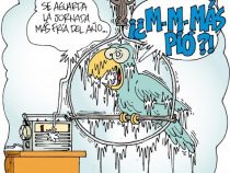 Temperaturen fallen um fast 20 °C