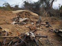 Chaco: Bolivianisches Flugzeug aus Kriegszeiten gefunden