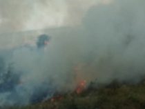 Großfeuer bei San Bernardino