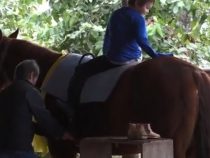 Hippotherapie-Zentrum in der Kolonie Neuland