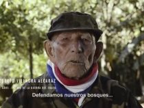 Kampagne: “Zweiter Krieg im Chaco“