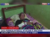 Pitbulls greifen ältere Frau an