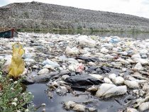 Weltumwelttag: “Keine Kontamination durch Plastik“