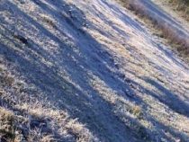 Deutsche Kolonisten klagen über Frostschäden