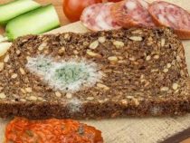 Wenn das Abendessen nicht schmeckt