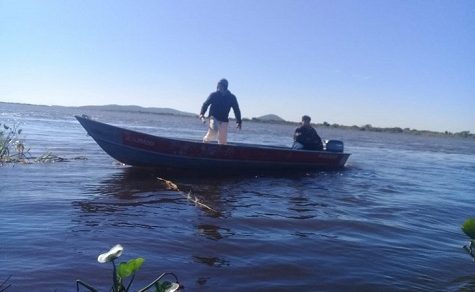 Alarmierender Einbruch um 78 %: Warum in Paraguays Flüssen kaum noch Fische schwimmen
