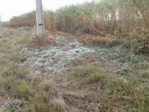 In einigen Gebieten gab es Frost