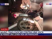 Motorradfahrer stirbt nach Zusammenstoß mit Rind
