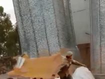 Was das Silo in Sommerfeld zum Einsturz brachte