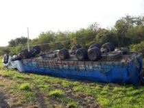 Schwere Unfälle auf der Transchaco-Route