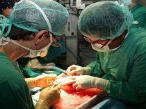 Organspendegesetz auf dem Prüfstand