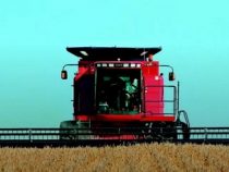 “Dekret bedroht die industrielle Entwicklung des Landes“