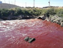 Ein Fluss aus Blut