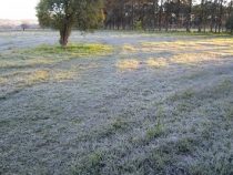 Einer der kältesten Winter in Paraguay