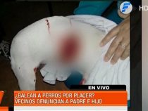 Zielschießen auf Hunde