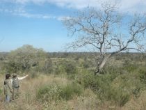 Ranger in Paraguay: Der Job kann tödlich enden
