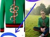 Diplomatenpässe und grüne Sweatshirts
