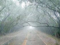 Unwetter hinterlässt eine Schneise der Verwüstung in Alto Paraná