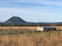 Leichtes Erdbeben im Departement Paraguarí