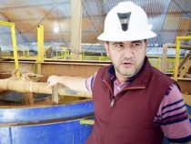 Kontamination eines Flusses mit Zyanid für die Goldgewinnung angeprangert