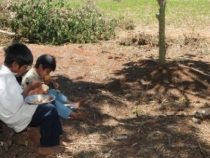 Der Klimawandel trägt zur Hungersnot in Paraguay bei