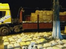 International gesuchter Drogenboss im Chaco verhaftet