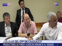 EPP-Zellen unter Campesinos in Caaguazú