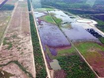 Estancia im Chaco soll illegal den Pilcomayo Fluss ableiten
