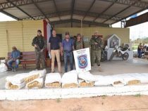 675 kg Marihuana bei einer Estancia im Chaco beschlagnahmt