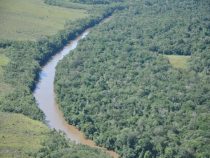 Leichenfund am Fluss Ypané