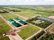 Ethanol-Fabrik im Chaco angekündigt