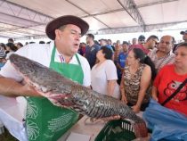 Rekordverkauf vor der Fisch-Schonzeit