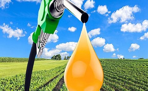Grünerer Diesel: Gesetz hebt Biodiesel-Anteil auf bis zu 20 % an