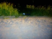 Angeblich Arbeiter auf einer Estancia im Chaco erschossen
