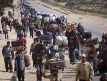 Paraguay will Flüchtlinge aufnehmen