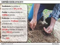 Schlechte Ernte der Soja könnte das BIP um fast 1% einbrechen lassen