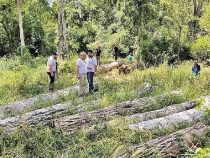 Staatsanwalt untersucht Umweltstraftat im Naturschutzgebiet
