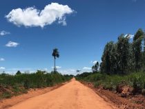 Paraguay: Frische Luft, frische Milch und viel Arbeit