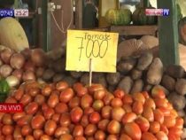 Tomaten werden Gold wert
