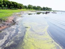 Umweltministerium initiiert neues Pilotprojekt zur Rettung des Ypacaraí-Sees